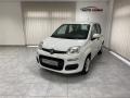 Fiat Panda 1.0i HYBRID + LPG ČR 1.MAJ DPH - náhled 4