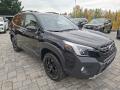 Subaru Forester 2.5 WILDERNESS,Top stav,v�bava