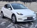 Tesla Model Y 0.0 378kW 4x4 LR Ta�n� z. 1.ma