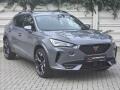 Cupra Formentor 2.0 TSi DSG 4x4 Ta�n� z. Z�ruk