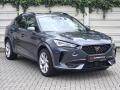 Cupra Formentor 1.5 TSi DSG Ta�n� Z�ruka2029 �