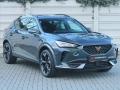 Cupra Formentor 2.0 TSi DSG 4Drive Tov.Zr. R