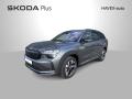koda Kodiaq 2.0 TDI 142 kW 4x4 DSG Sportli