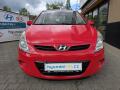 N�hled 11