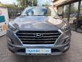 N�hled 17