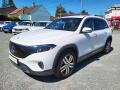 Mercedes-Benz EQB 250+ 140kW *�R *1.majitel 