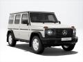 Mercedes-Benz 3.0 G 450 d EDICE 1980's
