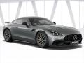 Mercedes-Benz AMG GT 2.0 Mercedes 43