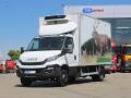 Iveco DAILY 70C17, CARRIER XARIOS 30