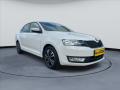 Škoda Rapid 1,6 TDI, 1.Maj, Servisní kniha - náhled 2