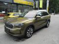 �koda Kodiaq Exclusive Selection 2.0 TDI 14
