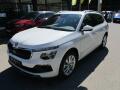 �koda Kamiq Top Selection 1.0TSI 85kW DSG/