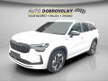 �koda Kodiaq Sportline 2.0 TDI/142 kW 4x4 D