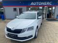 �koda Octavia 1.6 TDi 85kW 4x4