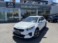 Kia XCeed 1.5 TGDi TOP Z�RUKA KAMERA NAV