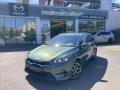 Kia Ceed 1.5 TGDi 118 TOP ZRUKA TAN