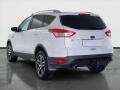 N�hled 5