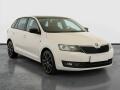 �koda Rapid Spaceback 1.2 TSI, Serv.kniha