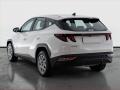 N�hled 5