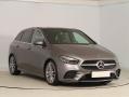Mercedes-Benz B 220 4MATIC, 4x4,Automat,R