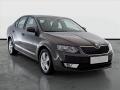 �koda Octavia Ambition 1.6 TDI, Tempomat