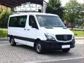 Mercedes-Benz Sprinter 216 BlueTEC, Bus, 9Mst, DPH