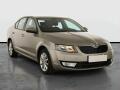 �koda Octavia Ambition 1.6 TDI, Tempomat