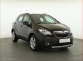 Ford Focus Active 1.5 TDCi, Navi