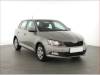 Volkswagen Polo 1.2 12V, Tempomat