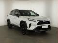 Toyota RAV4 2.5 Hybrid, Selection