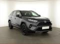Toyota RAV4 2.5 Hybrid, Selection