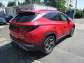 N�hled 5