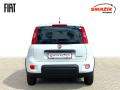 Fiat Panda (2024) 1,0 Firefly 70k - náhled 4