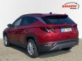 N�hled 4