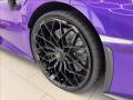 N�hled 7