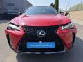 N�hled 7
