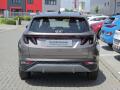 N�hled 6