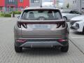 N�hled 6