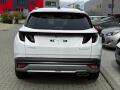 N�hled 4