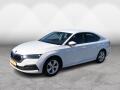 �koda Octavia 2.0 TDI Ambition