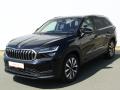 koda Kodiaq Exclusive Selection 2.0 TDI 14