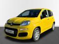 Fiat Panda FireFly 1.0 70cv 51kW BSG