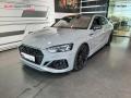 Audi RS 5 COUPE 2.9 TFSI quattro (331kW/