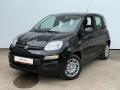 Fiat Panda FireFly 1.0 70cv 51kw BSG