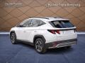 N�hled 4