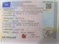N�hled 2