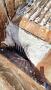 N�hled 4