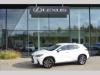 Lexus NX 350h 2.5 HSD  Comfort Top