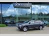 Lexus RX 450h 3.5 HSD  Luxury