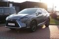 N�hled 7